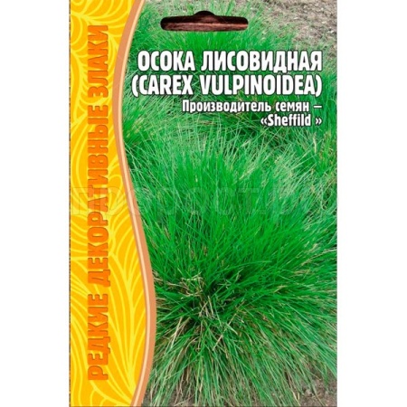 Осока Лисовидная (Carex vulpinoidea)100шт. Осока Лисовидная (Carex vulpinoidea)100шт.