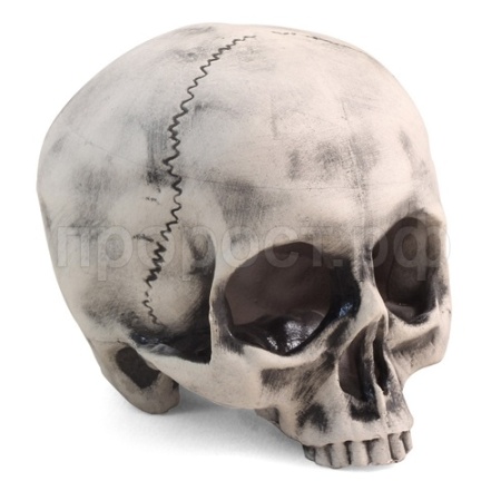 Грот Капитан Флинт 108*108*118мм 2808LD/Триол