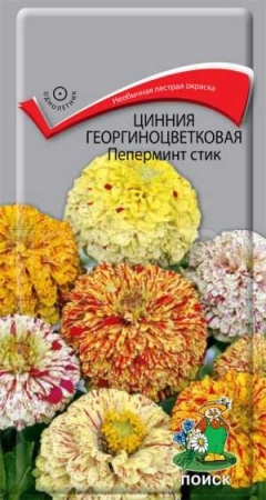 Цинния георгиноцветковая Пеперминт стик 0,4г Цинния георгиноцветковая Пеперминт стик 0,4г