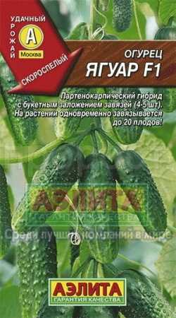 Аэлита Огурец Ягуар F1 10шт
