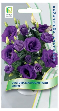 Эустома махровая Рози Синяя 5шт Эустома махровая Рози Синяя 5шт