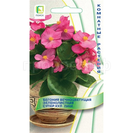 Бегония вечноцветущая зеленолистная Супер Кул Пинк 10шт Бегония вечноцветущая зеленолистная Супер Кул Пинк 10шт