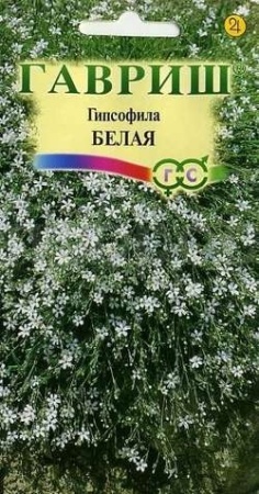 Гипсофила ползучая белая 0,1 г  Гипсофила ползучая белая 0,1 г