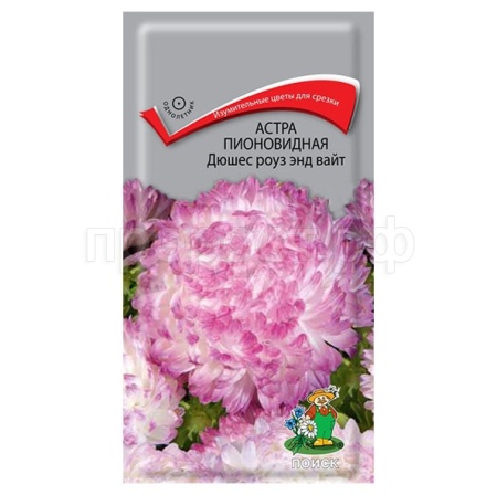 Астра пионовидная Дюшес роуз энд вайт 0,3г  Астра пионовидная Дюшес роуз энд вайт 0,3г