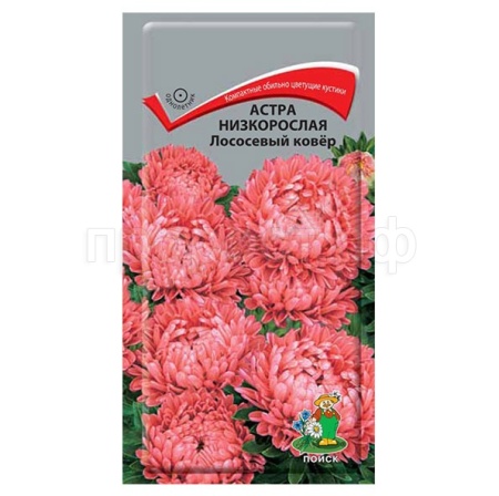Астра низкорослая Лососевый ковер 0,2г Астра низкорослая Лососевый ковер 0,2г
