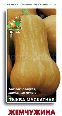 Поиск Тыква мускатная Жемчужина 10шт 