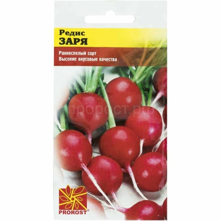 PROROST Редис Заря 3г