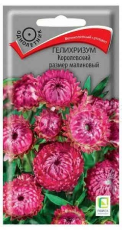 Гелихризум Королевский размер малиновый 0,1г Гелихризум Королевский размер малиновый 0,1г