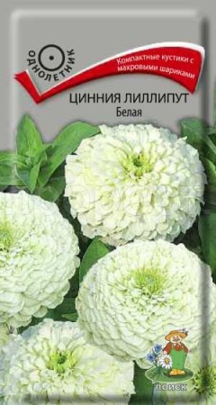Цинния лилипут Белая 0,4г Цинния лилипут Белая 0,4г