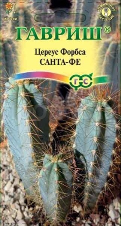 Цереус Форбса Санта-Фе 4шт Цереус Форбса Санта-Фе 4шт