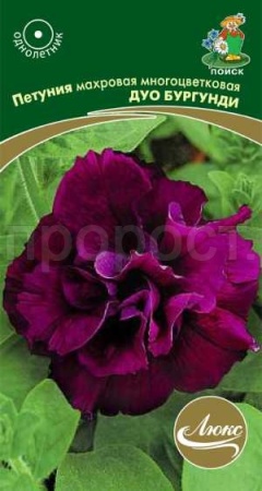 Петуния махровая многоцветковая Дуо бургунди 10шт Петуния махровая многоцветковая Дуо бургунди 10шт
