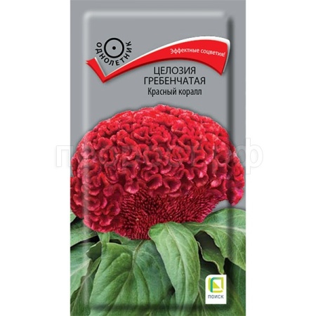 Поиск Целозия гребенчатая Красный коралл 0,05гр  Поиск Целозия гребенчатая Красный коралл 0,05гр