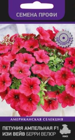 Петуния ампельная F1 Изи Вейв Берри Велюр 5шт Петуния ампельная F1 Изи Вейв Берри Велюр 5шт