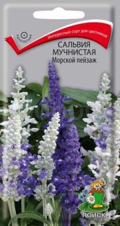 Сальвия Морской пейзаж 10шт Сальвия Морской пейзаж 10шт