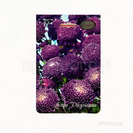 Астра Помпонная синяя Джульетта 20*0,5 