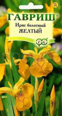 Ирис Болотный Желтый флаг 3шт  Ирис Болотный Желтый флаг 3шт