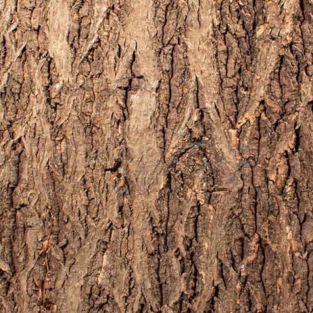 Фон для террариума Кора натуральная на пробке 435*410мм Repti-Zoo/84065007/Триол Фон для террариума Кора натуральная на пробке 435*410мм Repti-Zoo/84065007/Триол