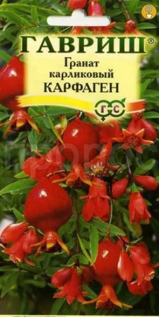 Гранат Карфаген карл. 5шт  Гранат Карфаген карл. 5шт