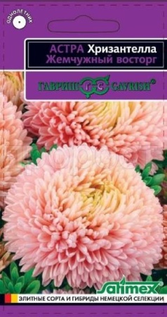 Астра Хризантелла Жемчужный восторг 0,05 г Астра Хризантелла Жемчужный восторг 0,05 г