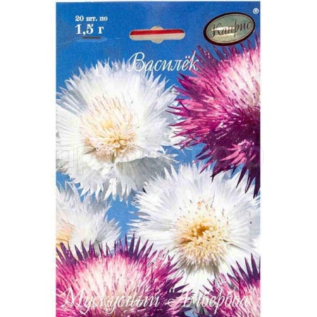 Василек Мускус Ароматное облако 20*1