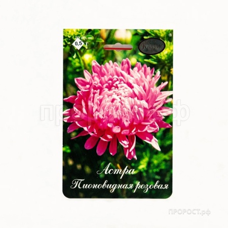 Астра Пионовидная Даная розовая 20*1  Астра Пионовидная Даная розовая 20*1