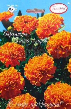 Бархатцы Злато скифов 20*0,3  Бархатцы Злато скифов 20*0,3