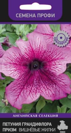 Петуния грандифлора призм Вишнёвые Жилки 30шт Петуния грандифлора призм Вишнёвые Жилки 30шт