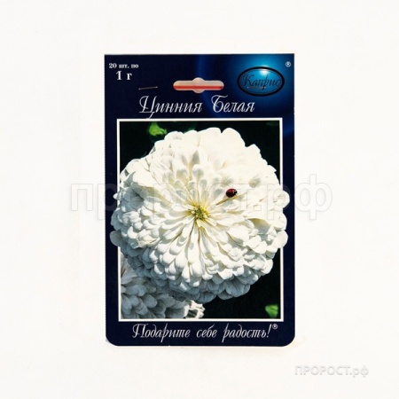 Цинния Полярный медведь Белая 20*1 Цинния Полярный медведь Белая 20*1