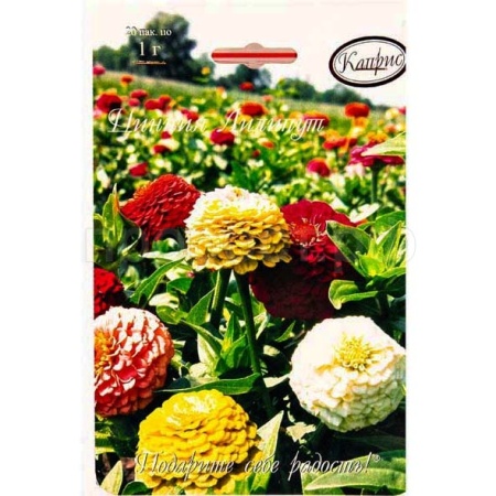 Цинния Лилипут смесь 20*1  Цинния Лилипут смесь 20*1