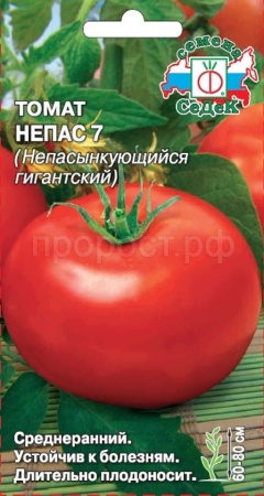 Седек Томат Непас 7 (Непасынкующийся Гигантский) 0,1г