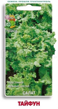 Поиск Салат Тайфун 1г