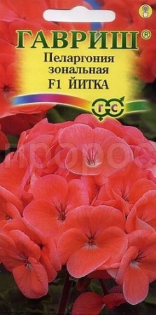Пеларгония Йитка зональная 4 шт Пеларгония Йитка зональная 4 шт