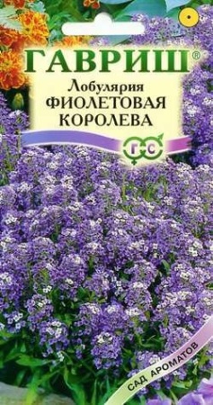Лобулярия Фиолетовая королева 0,05 г Лобулярия Фиолетовая королева 0,05 г