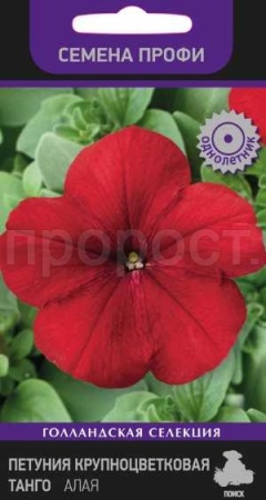 Петуния крупноцветковая Танго Алая 15шт Петуния крупноцветковая Танго Алая 15шт